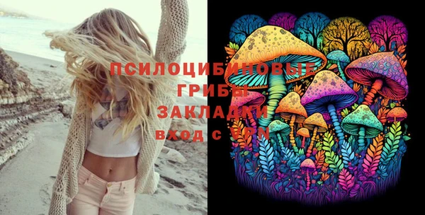 шишки Балабаново