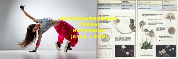 дмт Баксан